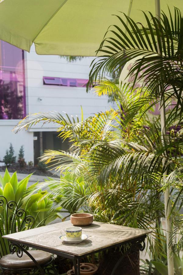 Hostel Spring City Medellín Exterior foto